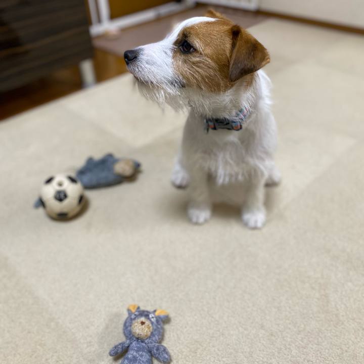 00546ce7 6346 45f2 8cb2 aa035c8ce83a 1679832442894