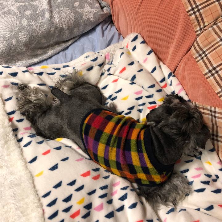 00547235 d956 411e 926d 72292a1fa83a 1700402400355