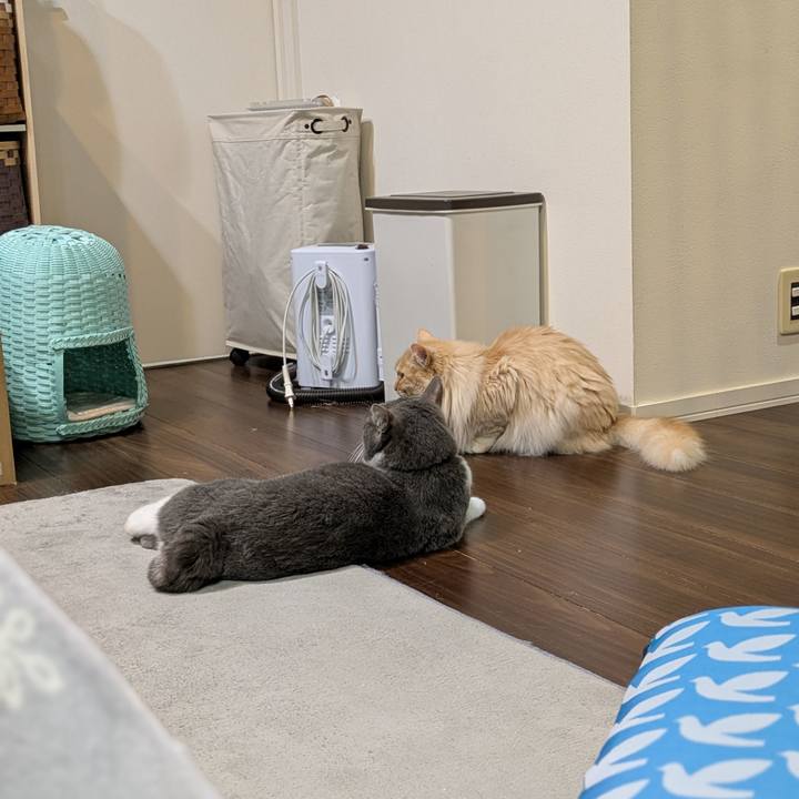 0054b761 fa40 4bb2 9349 a5ac5a1ef5cd 1745156537174