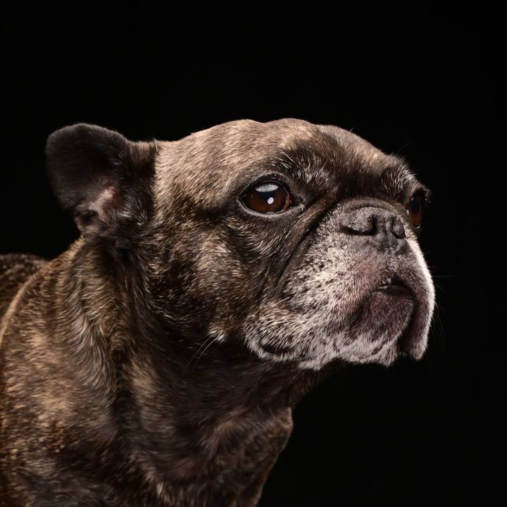 0054c024 77d4 47bf b80f c0a33797ded8 1764930125908