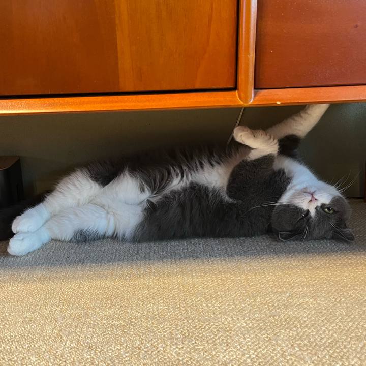 00552aa0 d3e7 4bdf bacc 40e28927e8b0 1633654859914