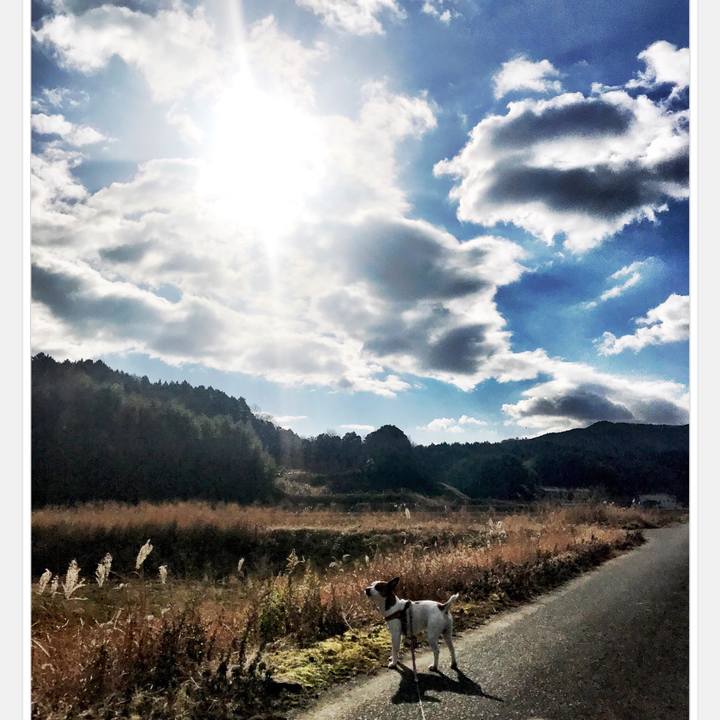 00552bb9 60ee 4edd bb5e 5418c81c5b4d 1514790448875