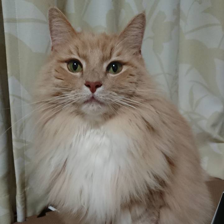 0055438c 32ca 4a24 9e5b cb7a51f6b513 1547118201917