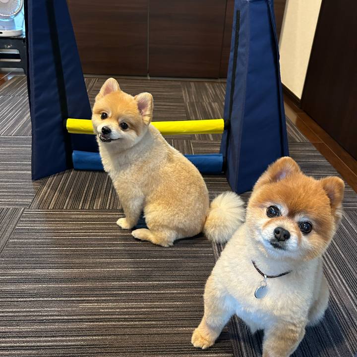 00554881 19f7 4639 8ea8 7c70ffe65f3e 1691312126100