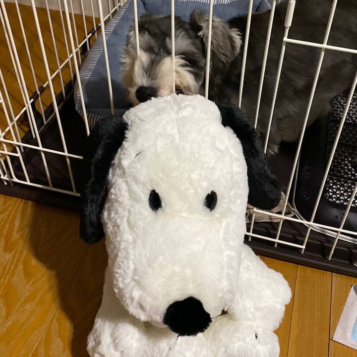 00554c1f cc67 4068 89a2 35602e1333ec 1569262046459