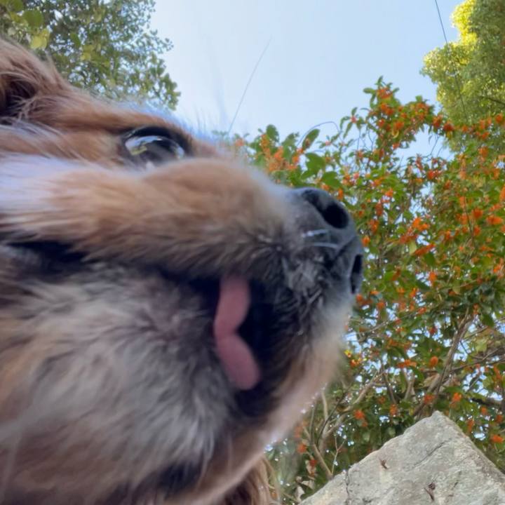 00555e93 0f99 49e4 9aab 87294d8e2c08 1697881092150