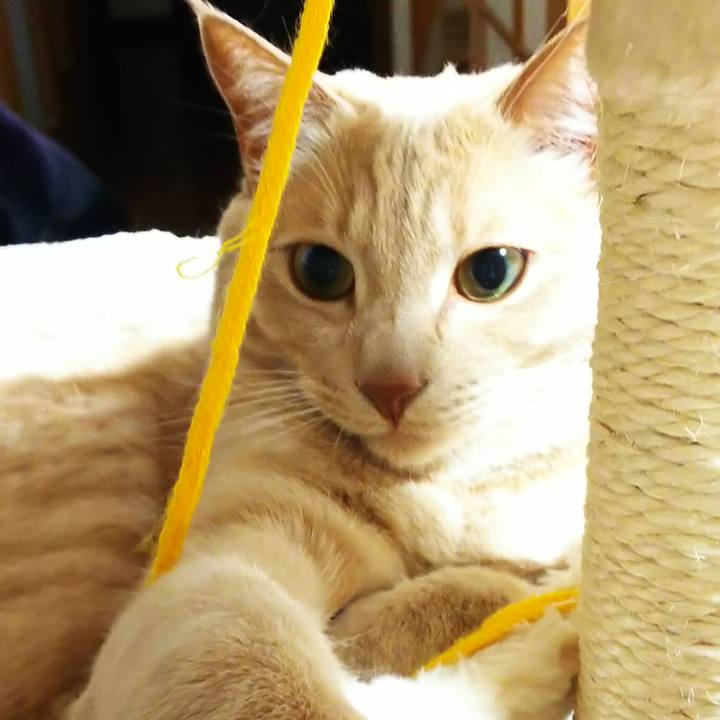 00559a72 34b1 4e41 8116 09497b05d9d8 1588764058432