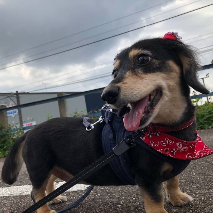 0055bad0 9b18 41af 9538 b85cca487aec 1631751811541