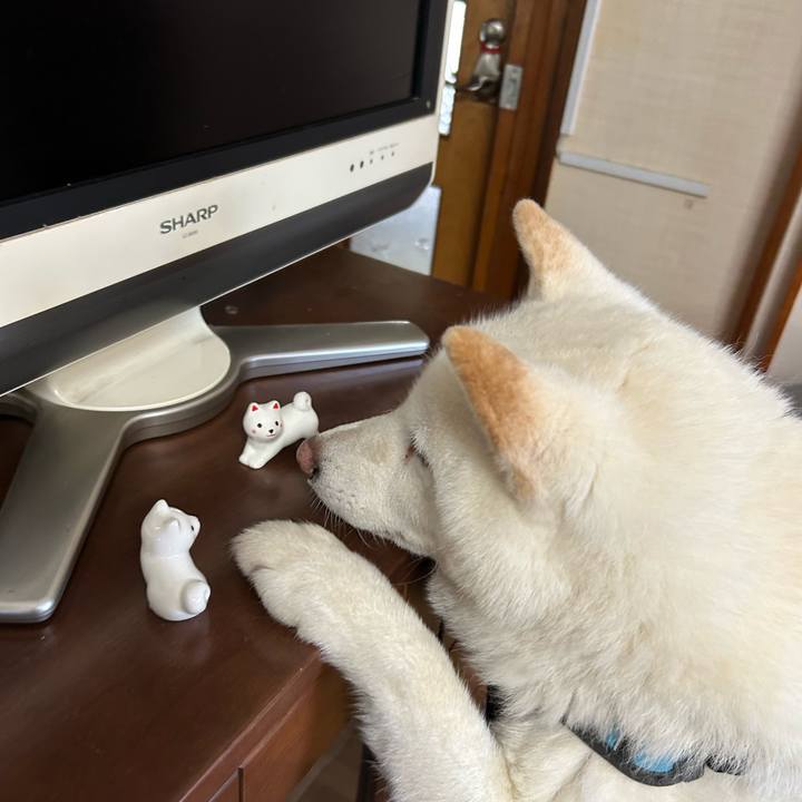 0055c96e cc8d 4452 a829 23027b66c16e 1752380802994