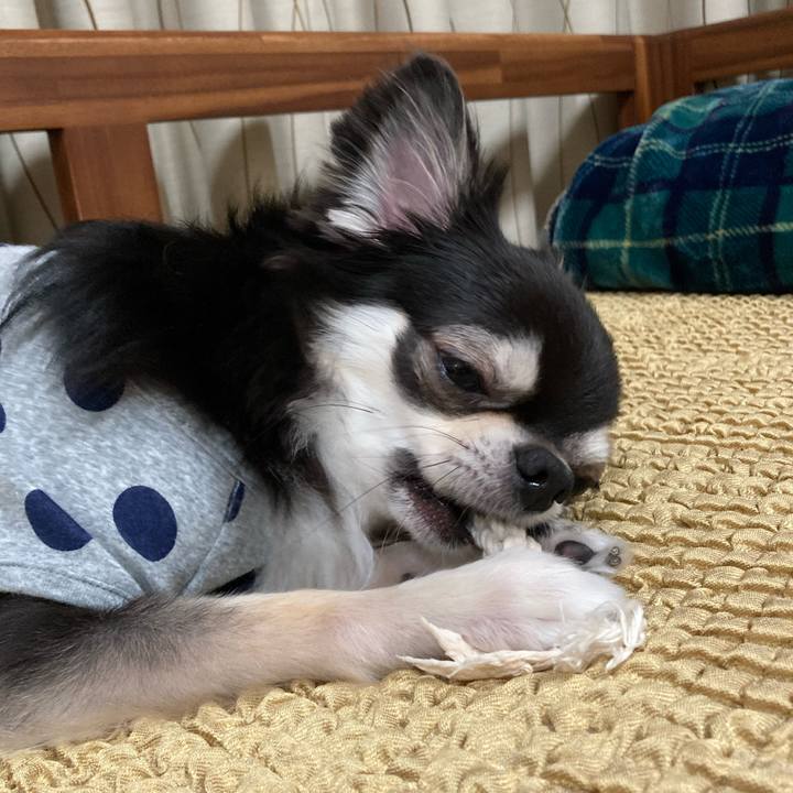 0056094b 5fb7 49e0 ab87 ca78db3097d9 1653225792936