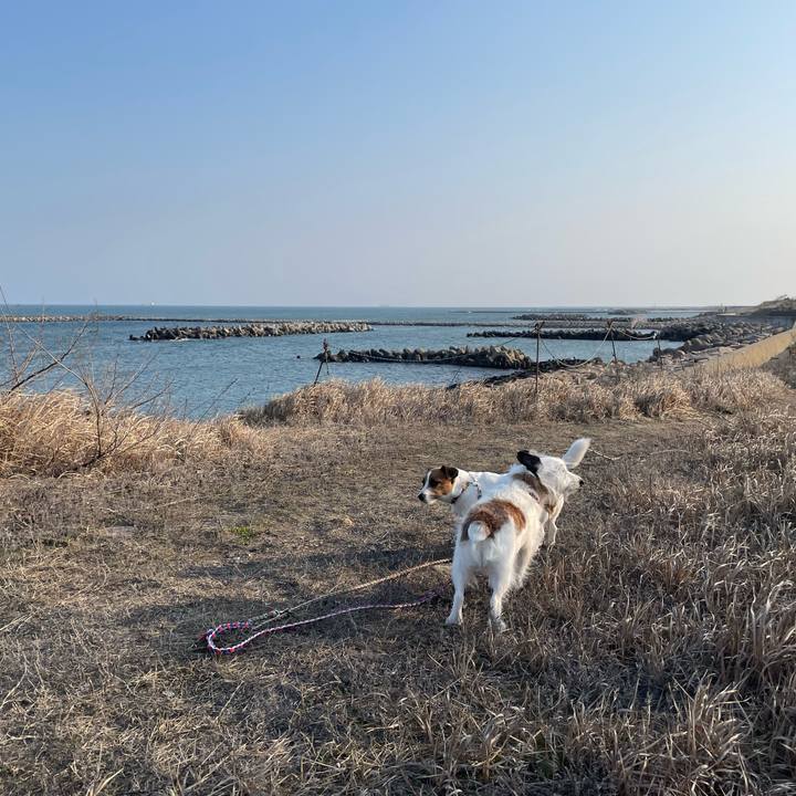 0056158b 81b9 4dd8 9de1 a756b3d8a75a 1742598767729