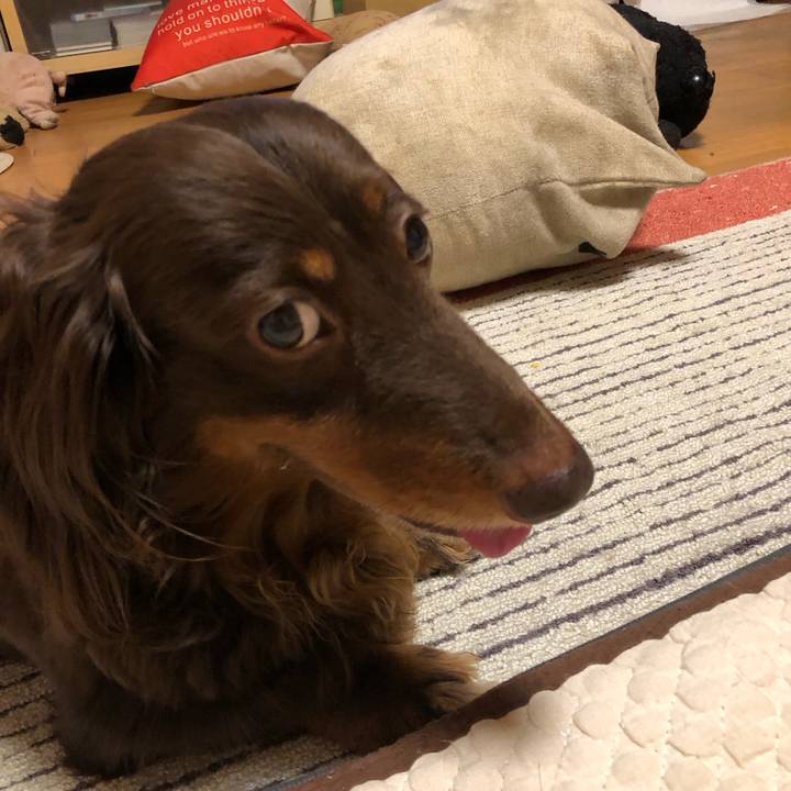 0056228a 9a03 41b4 94c0 3183ab1c26fe 1686396555723