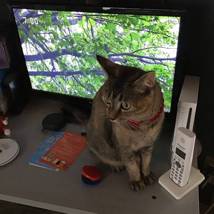 0056259e 9785 4e04 ab69 5ff5e4097612 1598912257592