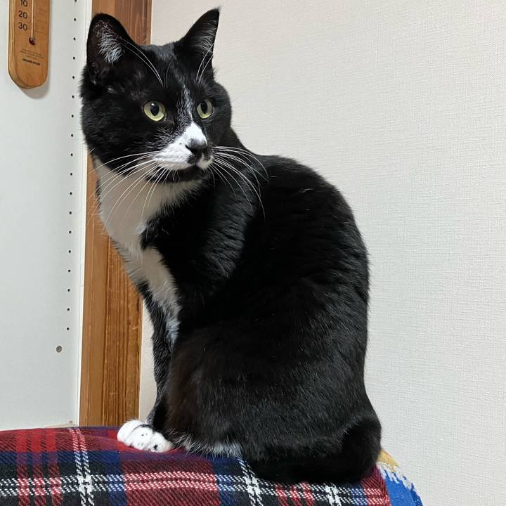 00564a82 2d6a 454a af61 d833f273e874 1746602408308