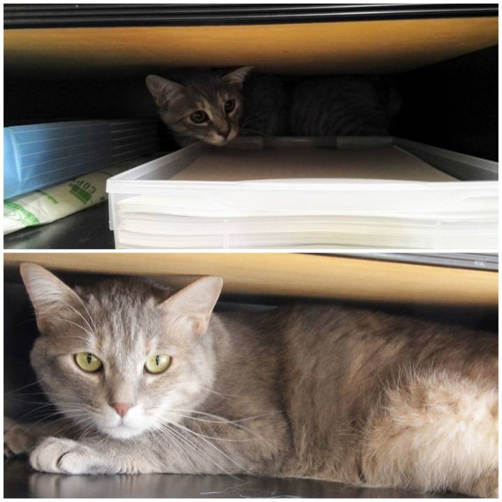 00567cf2 0558 4846 8094 a17d8f5195d5 1587788055186