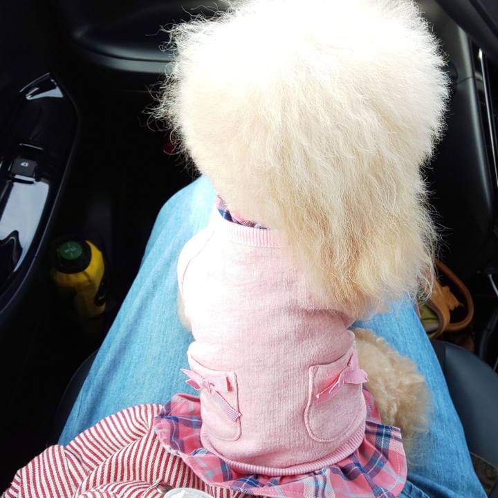 0056b083 853d 4848 b760 d017b6b5eade 1572788506992