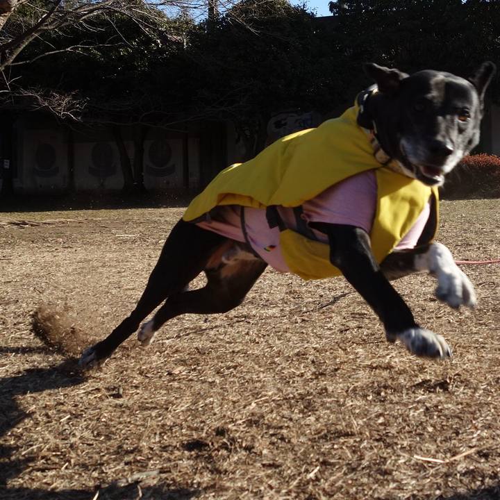 0056cddd dbb8 48d1 973b 654086739d17 1740098182473