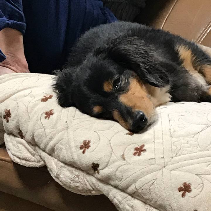 0056f785 cff3 4712 86e0 d485b7a712eb 1528321975510