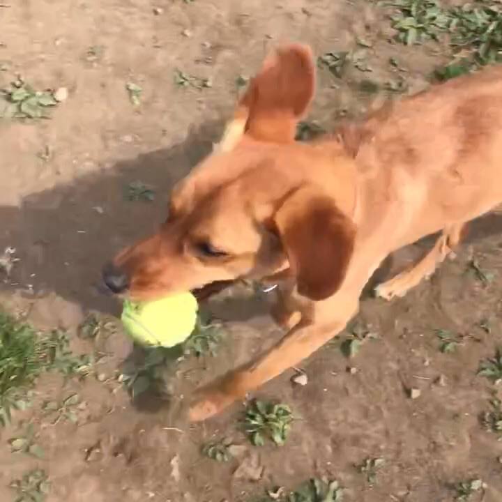 00572a63 aa6c 47d4 87ba 62ea06de7df3 1523254544851