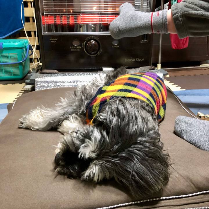 005758ff c5ee 46a7 8eae 84d6c8fd3ddc 1707827259351