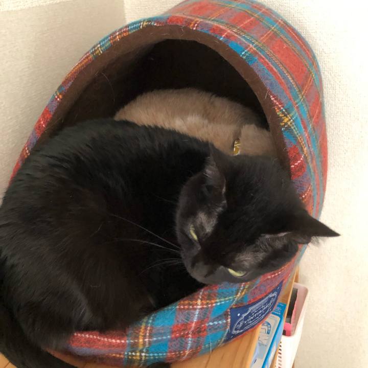 00576251 adec 488c a7e9 d2e94cef9805 1576980687166