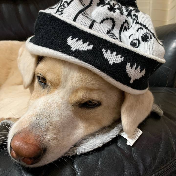 0057663d 46e0 4350 81e9 eb2549f91b0a 1577117077995