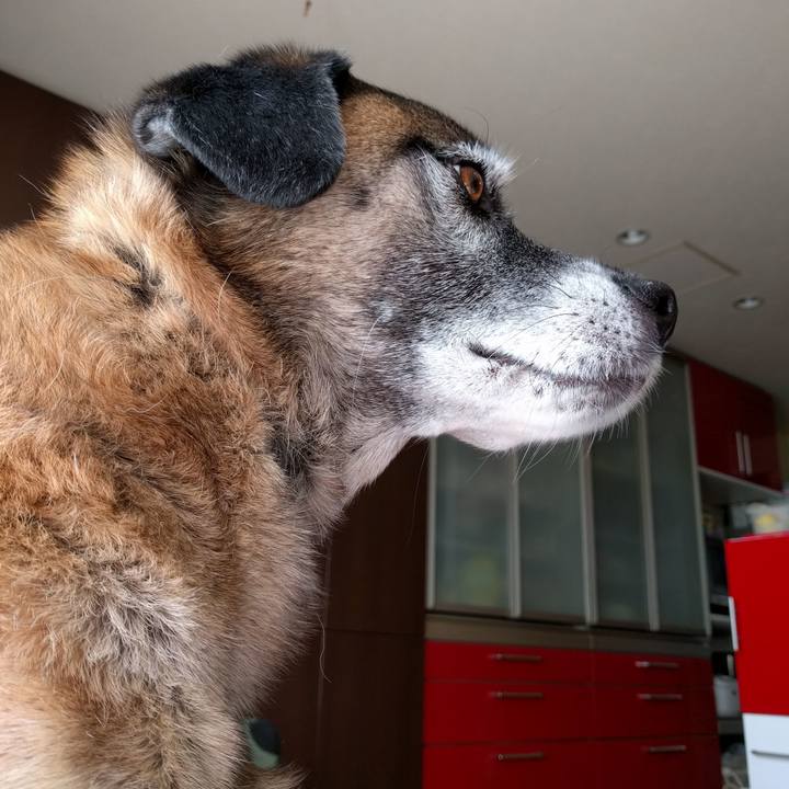 00576e93 69b4 46fa b171 b14e8c262088 1513038490947