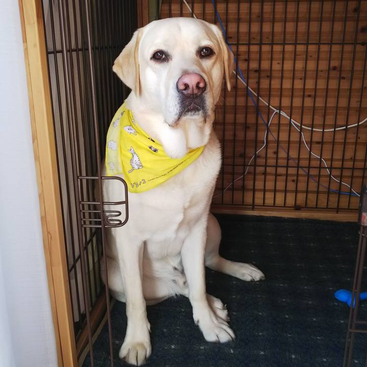 00577119 91c1 4b32 9e99 50d5d23a39ae 1517716134848