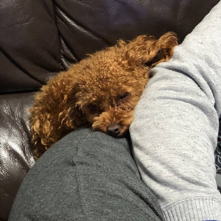 00577f0d 1dd3 44f0 baca f6cca191d2e4 1517057956143