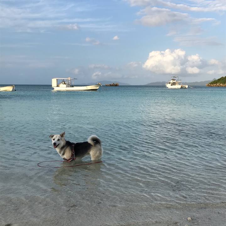 00579312 4563 4aa9 b644 f3430023c96a 1556622090879