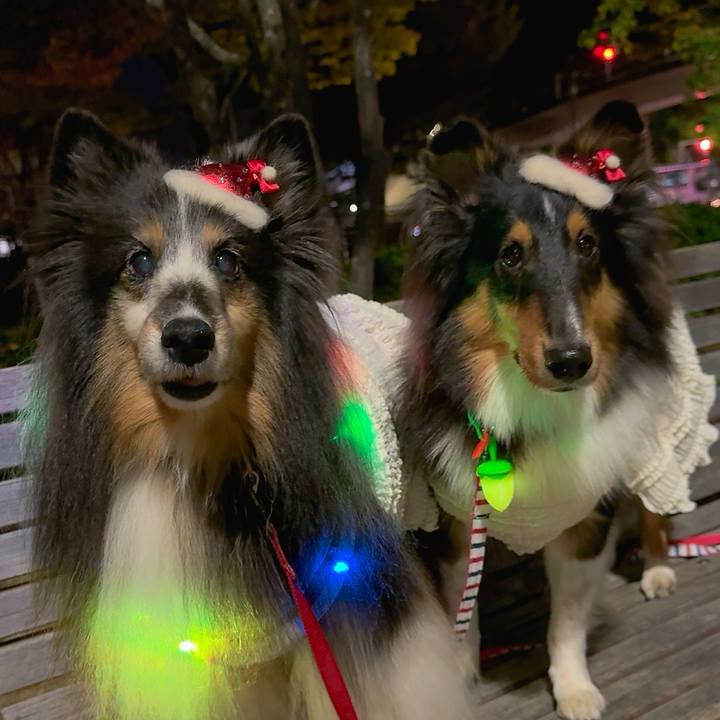 00580ea8 1635 485b acb4 af1ea1f681c3 1762976903364