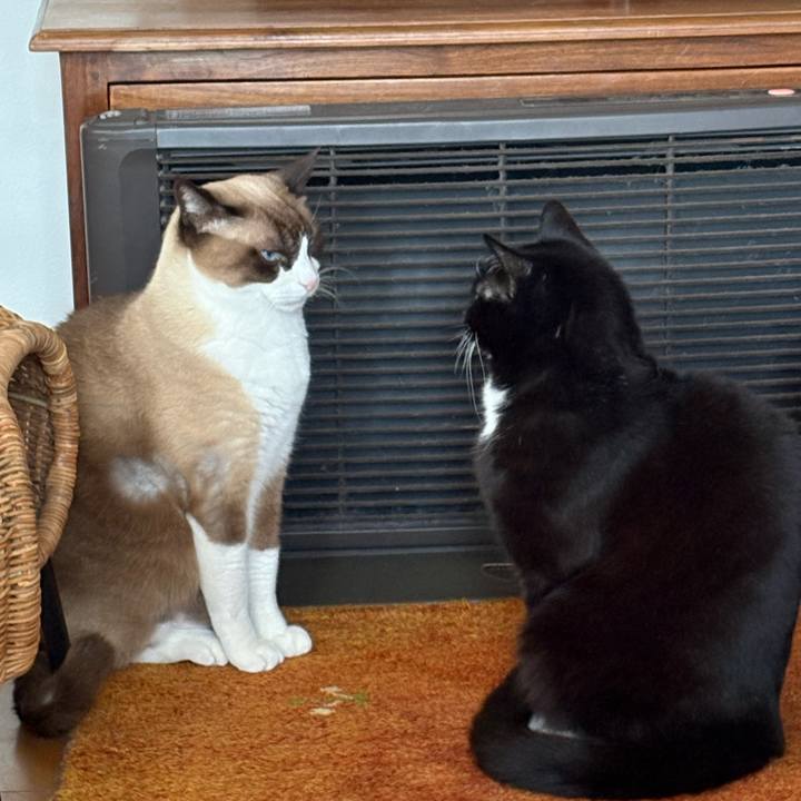 00582ed5 a36c 44e4 9f2e aa2192e6c06e 1774143586075