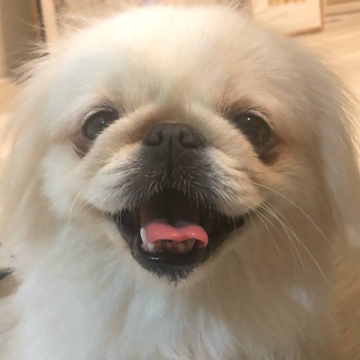 0058bdea def8 4c40 bf9f d96a0bfdbaf0 1535112670360