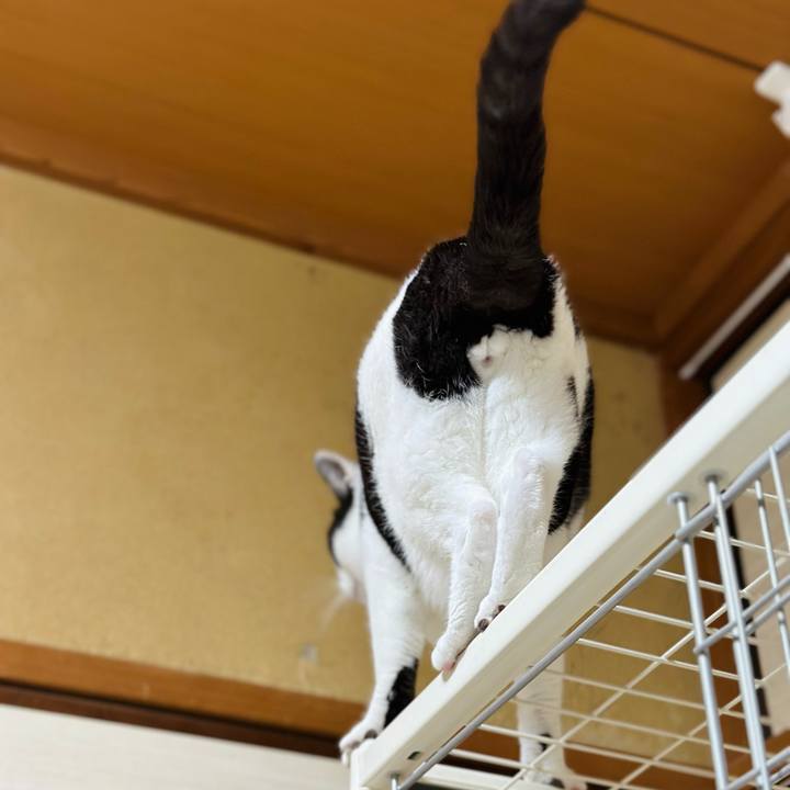 0058bf11 2224 4deb ba1b c32df44d5d63 1669597007573