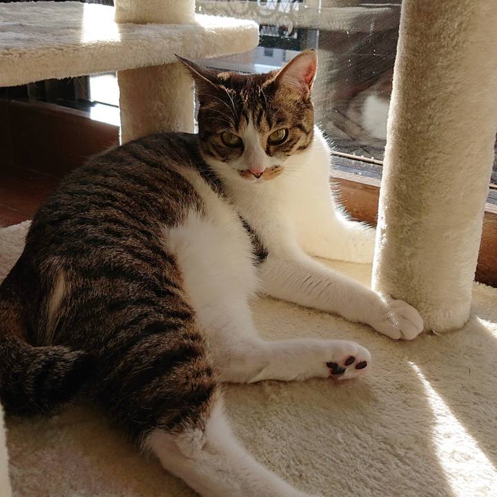 0058f49f 9b1e 47b6 bd37 c708b5b25057 1580534502686