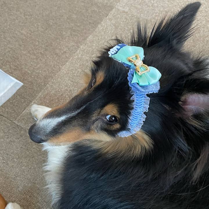 00594dab d6b6 452c b1b8 5ae3b1ec63c4 1648879031646