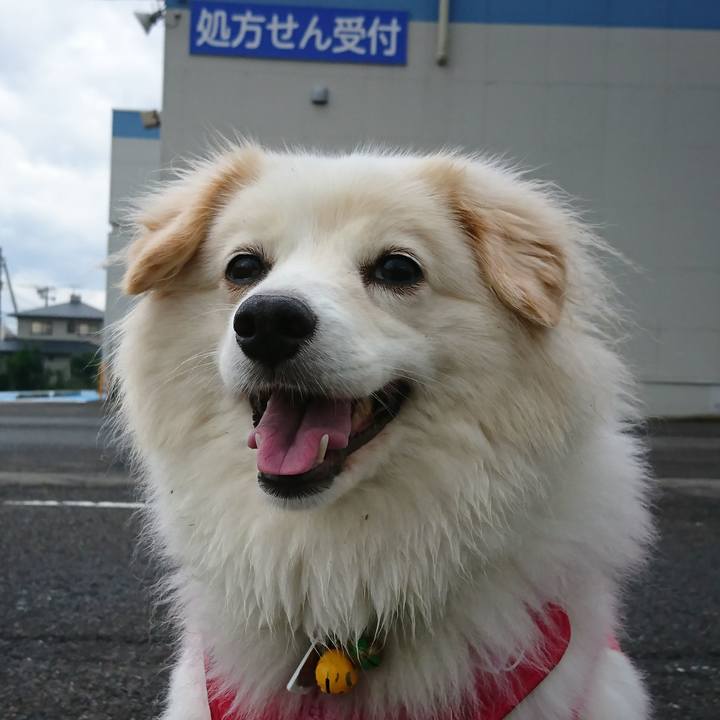 00597565 ccdd 42c3 bfda 2ee767d445aa 1535664640841