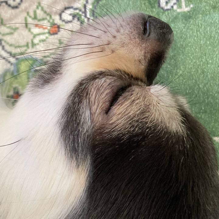 00597902 ede9 4ef5 8d3c 5ec84fc4bbf8 1667055233667