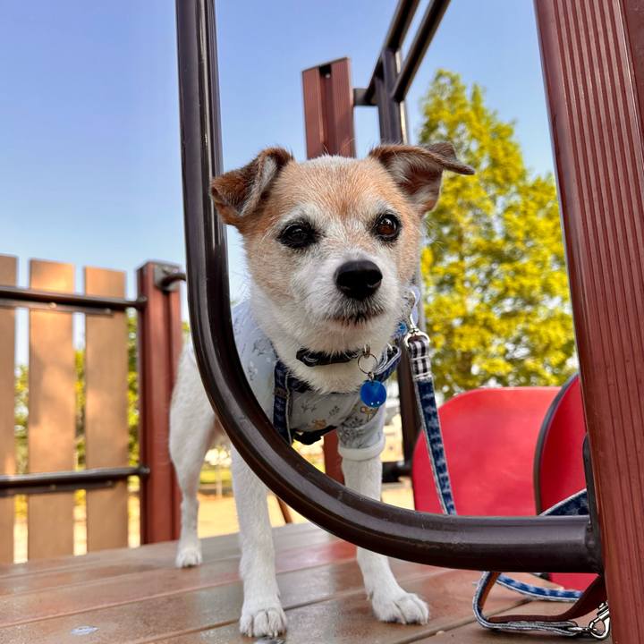 0059d48c 8cb0 4dc1 b491 98949207e143 1684364408475