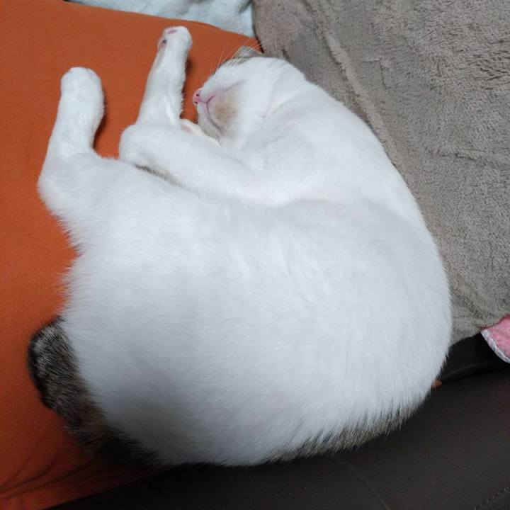 0059d960 8b4d 4a04 bdd2 ecd16f29ad1a 1716551106352