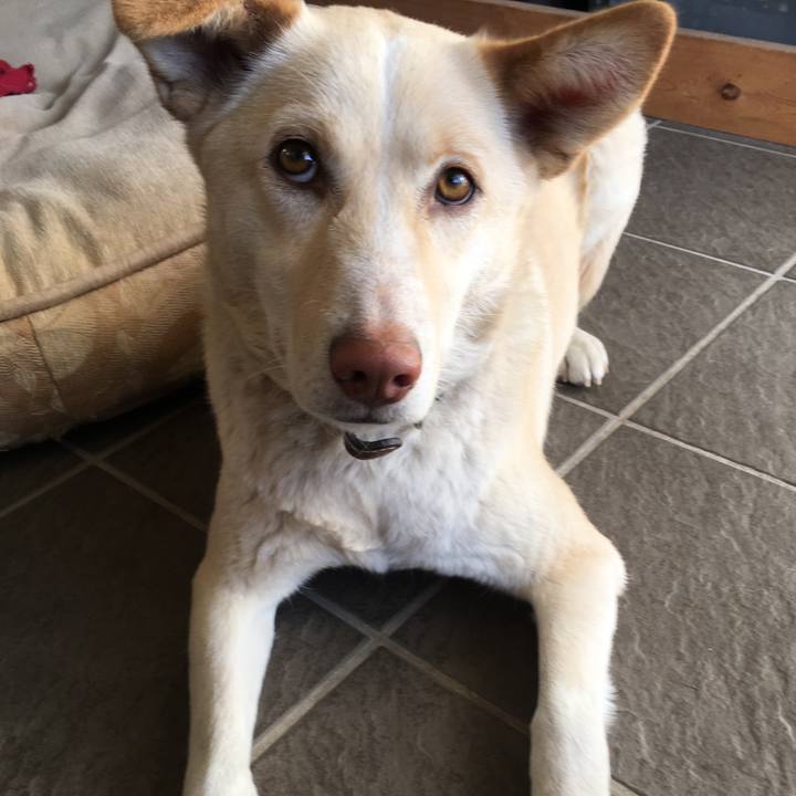 0059e7a8 340c 407b ace9 ae4142d4bc88 1518936240407