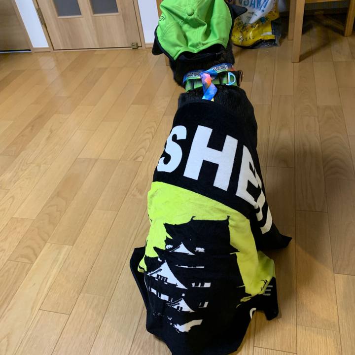 0059f376 6b64 4faf 82da 43c6b516ab26 1575186279617