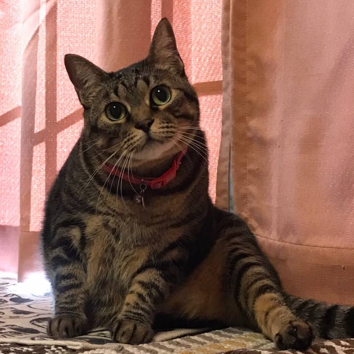 0059fe71 754e 4334 a399 1a419181bbbf 1626996915790