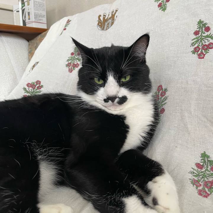 005a01fe 98ff 48e6 b2e9 e3f0112d8118 1664751816154