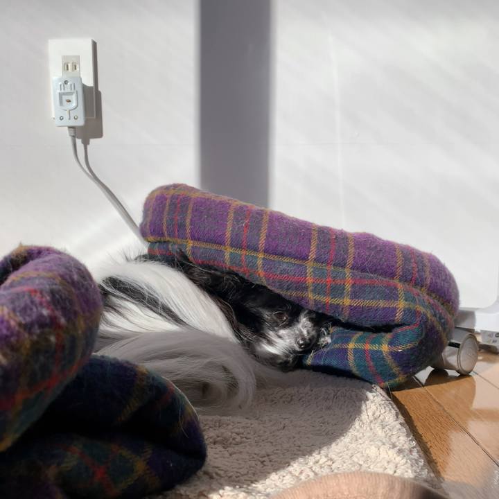 005a0436 14ff 4757 9a3a a7e4176552a7 1580515453171