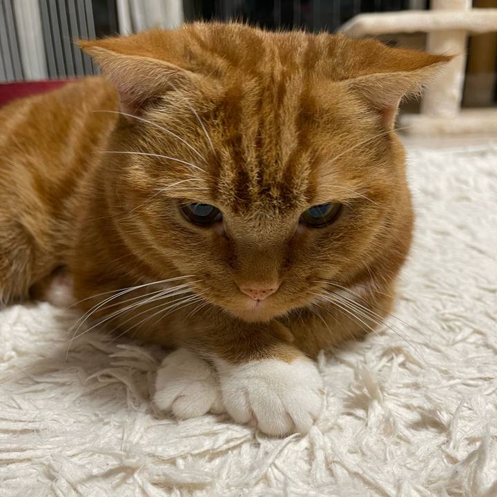 005a2123 3649 4731 8764 bc378077f74e 1690718421128