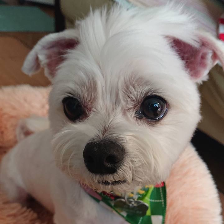 005a5835 1f66 417a 8376 7a18930dbca6 1587278936806