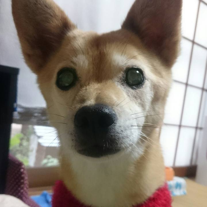 005a588d 6b92 4e83 b8f6 39023e9a3c06 1508653947180