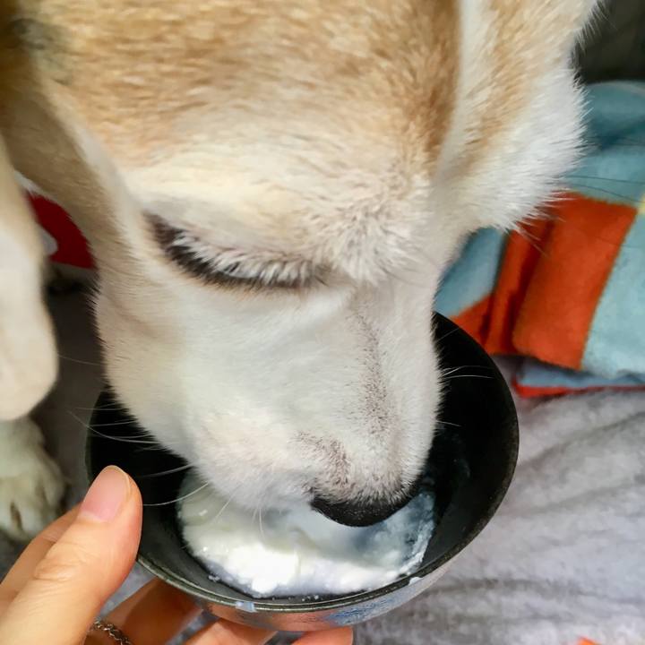 005a6706 cc8c 4241 afdb 8a3f6d44343f 1556855211479