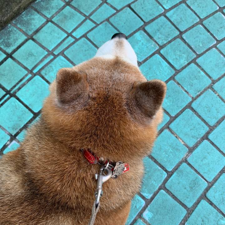 005a6cbb e90e 48af 8a11 792a5ce0d739 1589679374622